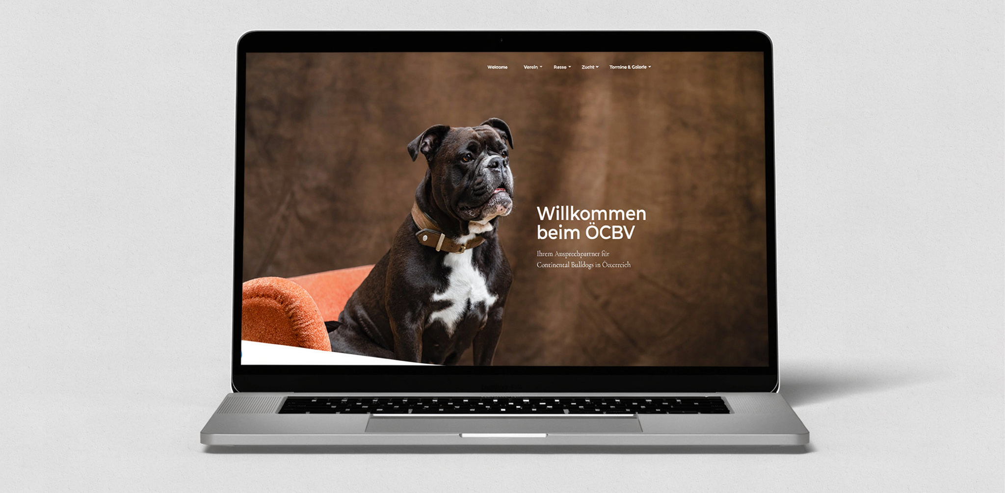 Website für den ÖCBV
